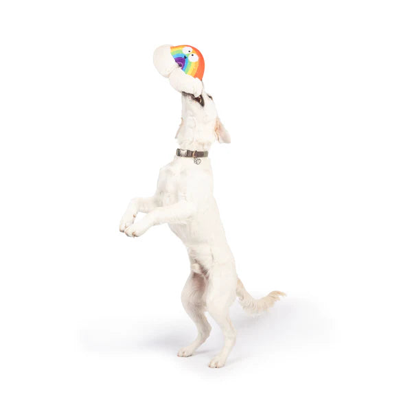 Happy Rainbow Dog Toy Large