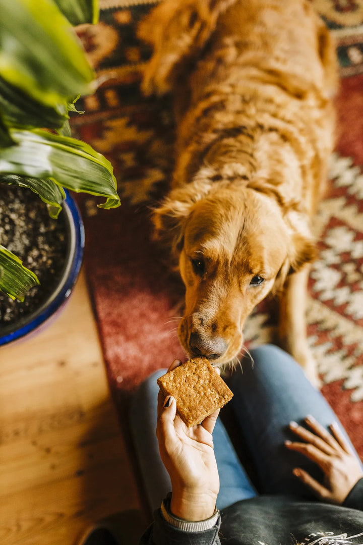 Heavenly Hounds Peanut Butter Relaxation Square 2oz