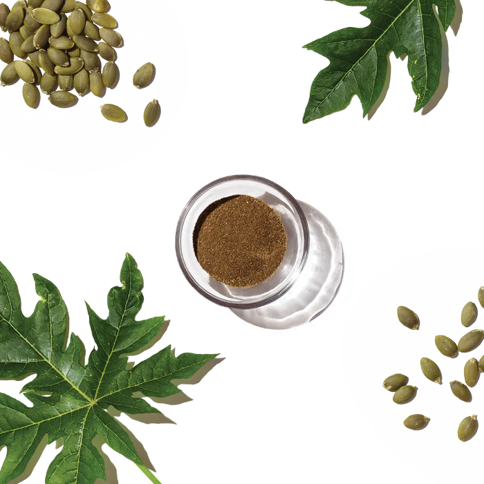 The Honest Kitchen Perfect Form Herbal Digestive Supplement for Dogs and Cats 3.2oz