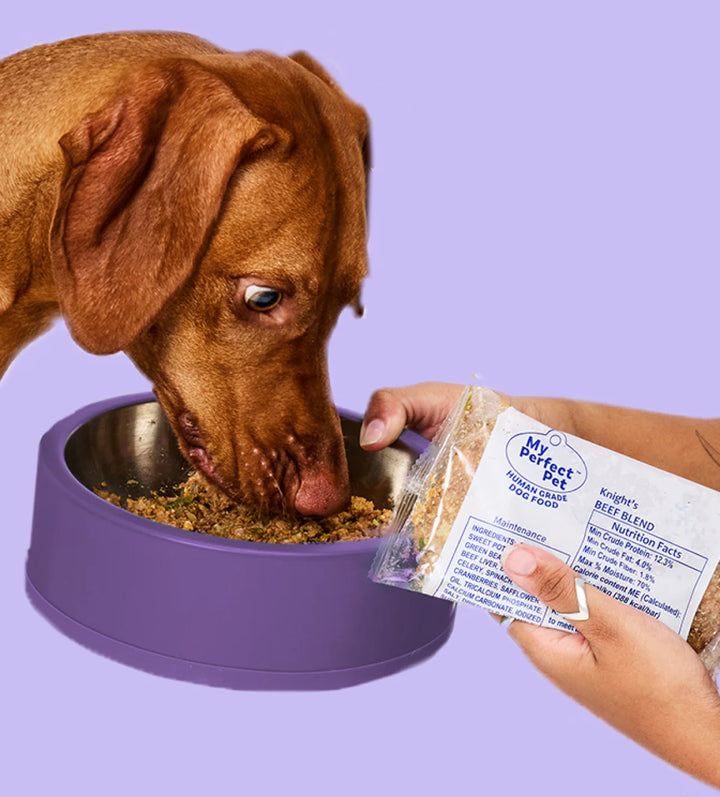 My Perfect Pet Dog Frozen Grain Free Knight's Beef 4LB