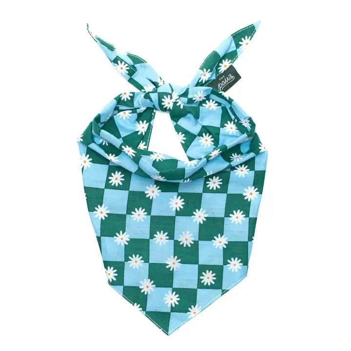 The Paws Koa Bandana for Dogs and Cats