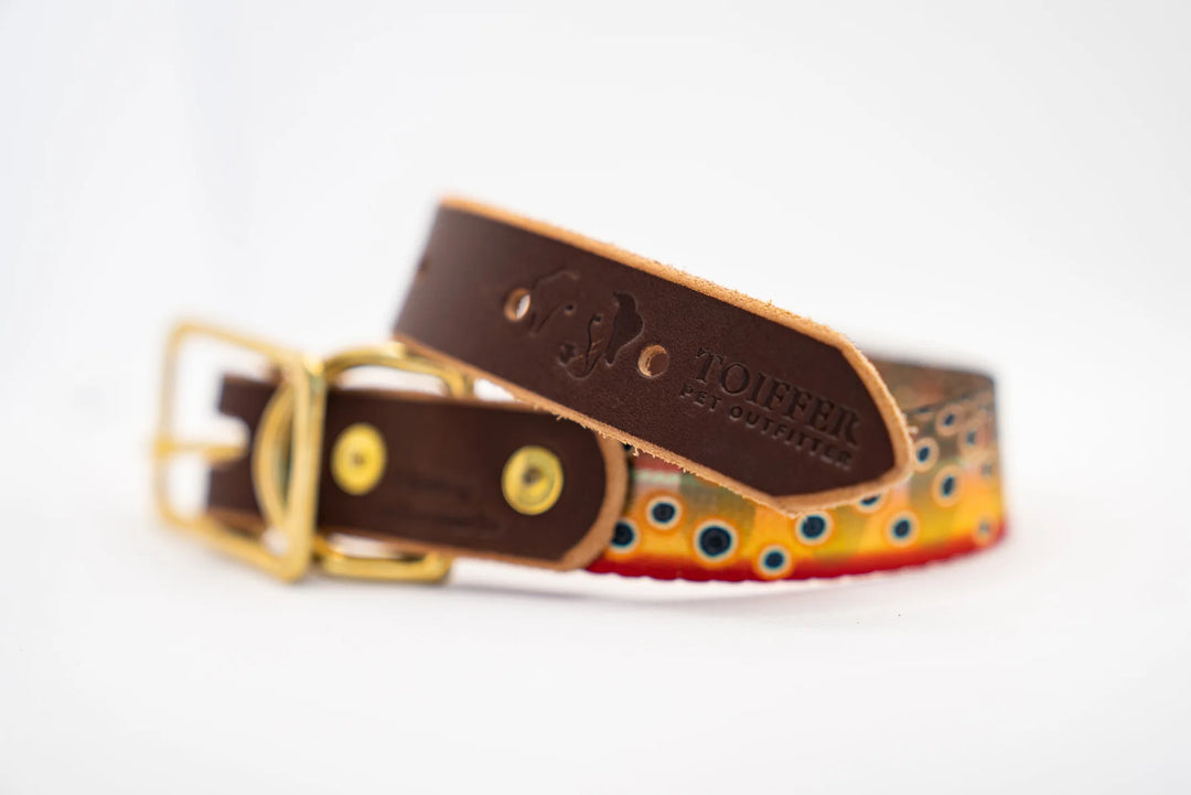 Handcrafted Leather & Brook Cutthroat Small Dog Collar
