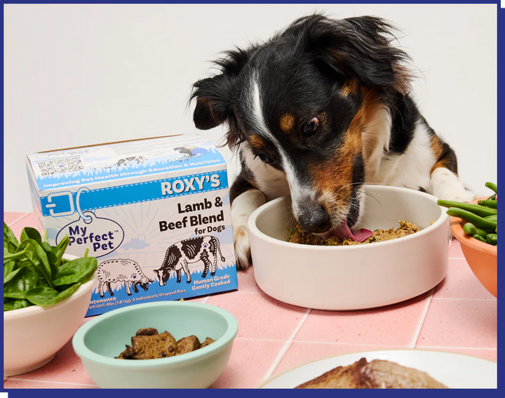 My Perfect Pet Dog Frozen Grain Free Roxy's Lamb & Beef 4LB