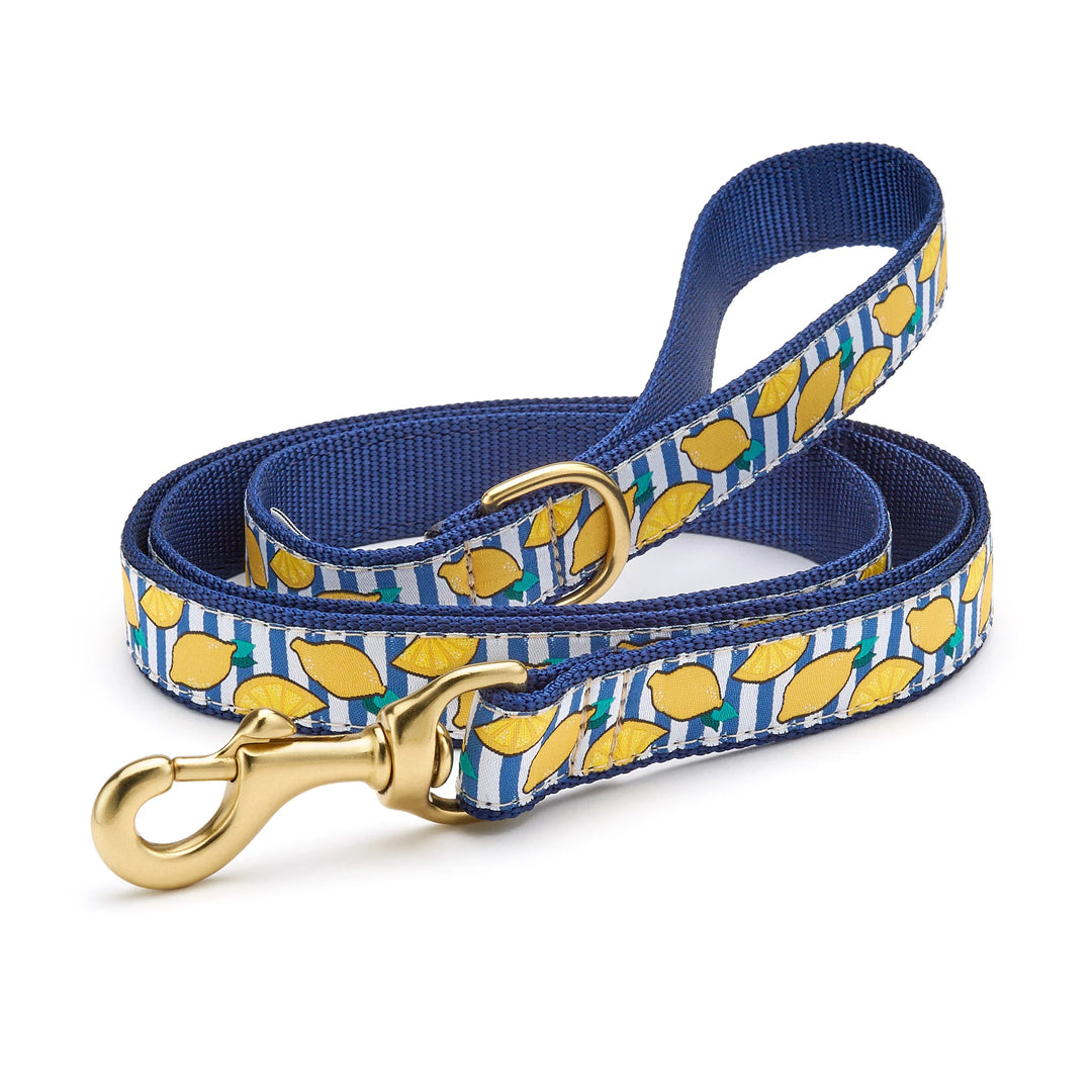 Up Country Make Lemonade Dog Leash