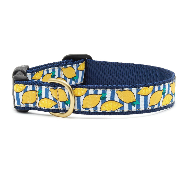 Up Country Make Lemonade Dog Collar