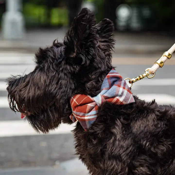 Maple Flannel Bow Tie Attachment for Collar