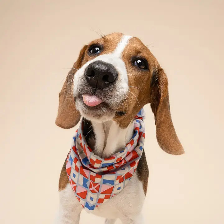 The Paws Maritime Bandana for Dogs and Cats