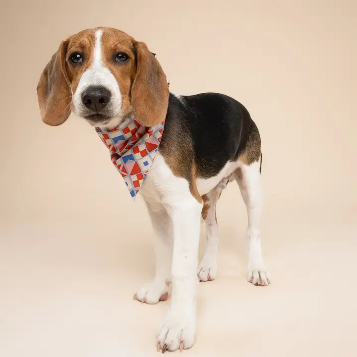 The Paws Maritime Bandana for Dogs and Cats