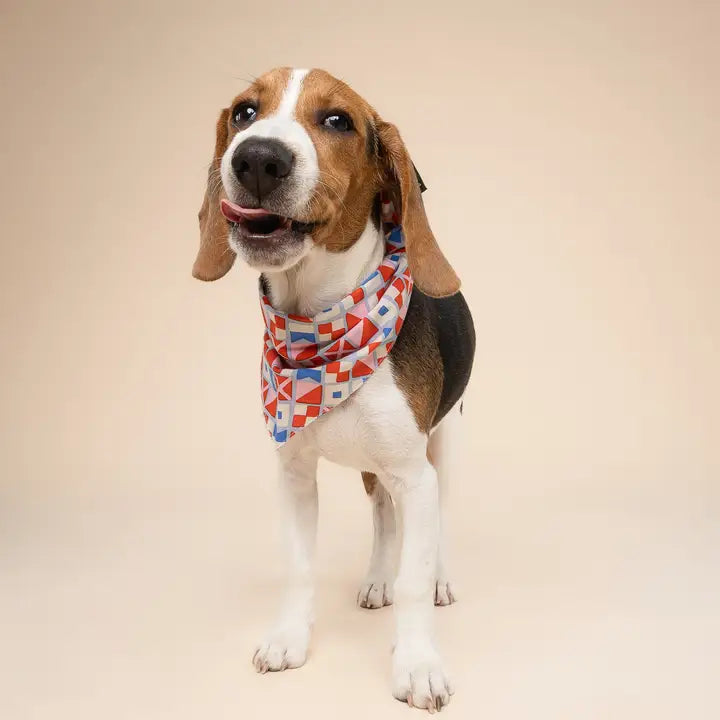 The Paws Maritime Bandana for Dogs and Cats