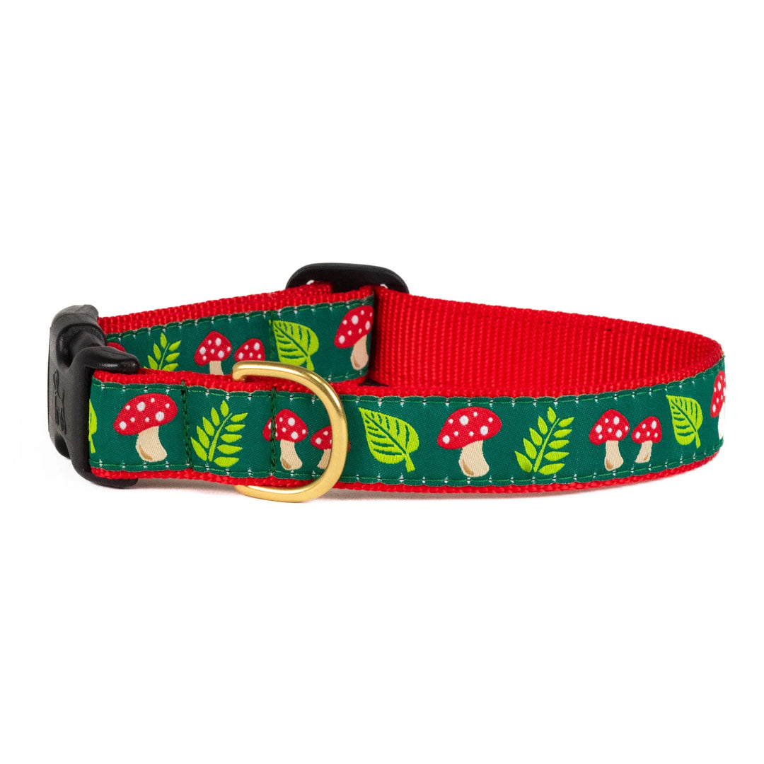 Up Country Mushrooms Dog Collar