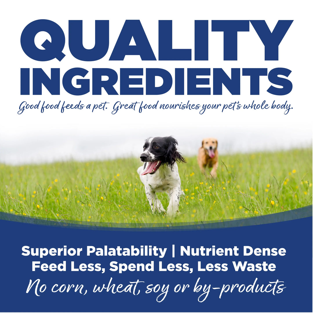 NutriSource Adult Trout and Rice Dry Dog Food 4lb