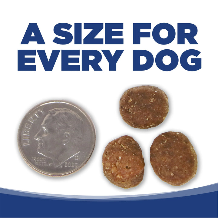 NutriSource Adult Trout and Rice Dry Dog Food 4lb