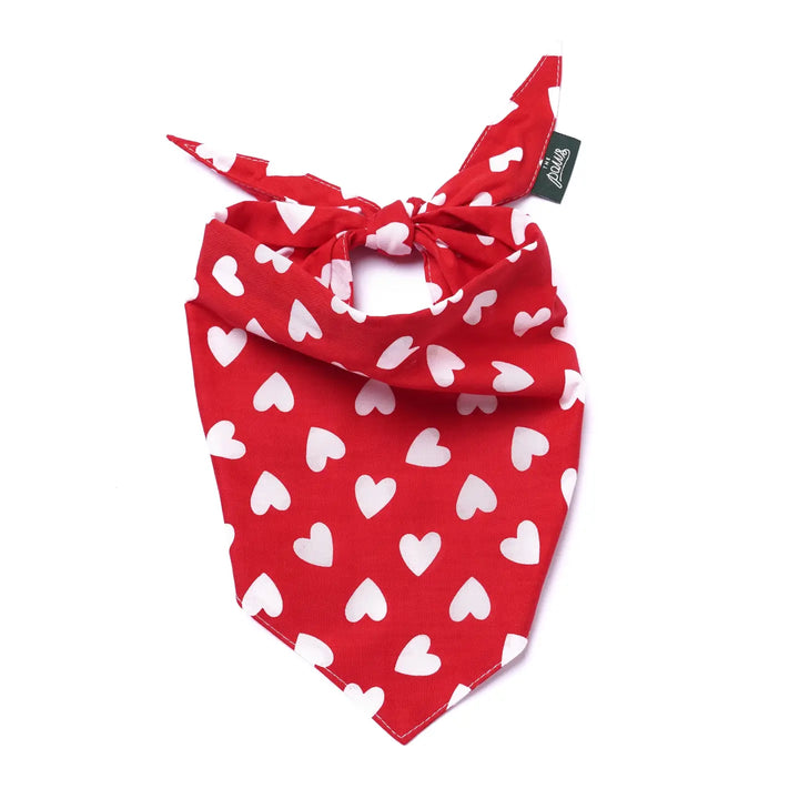 The Paws Nana Heart Valentine's Bandana for Dogs and Cats