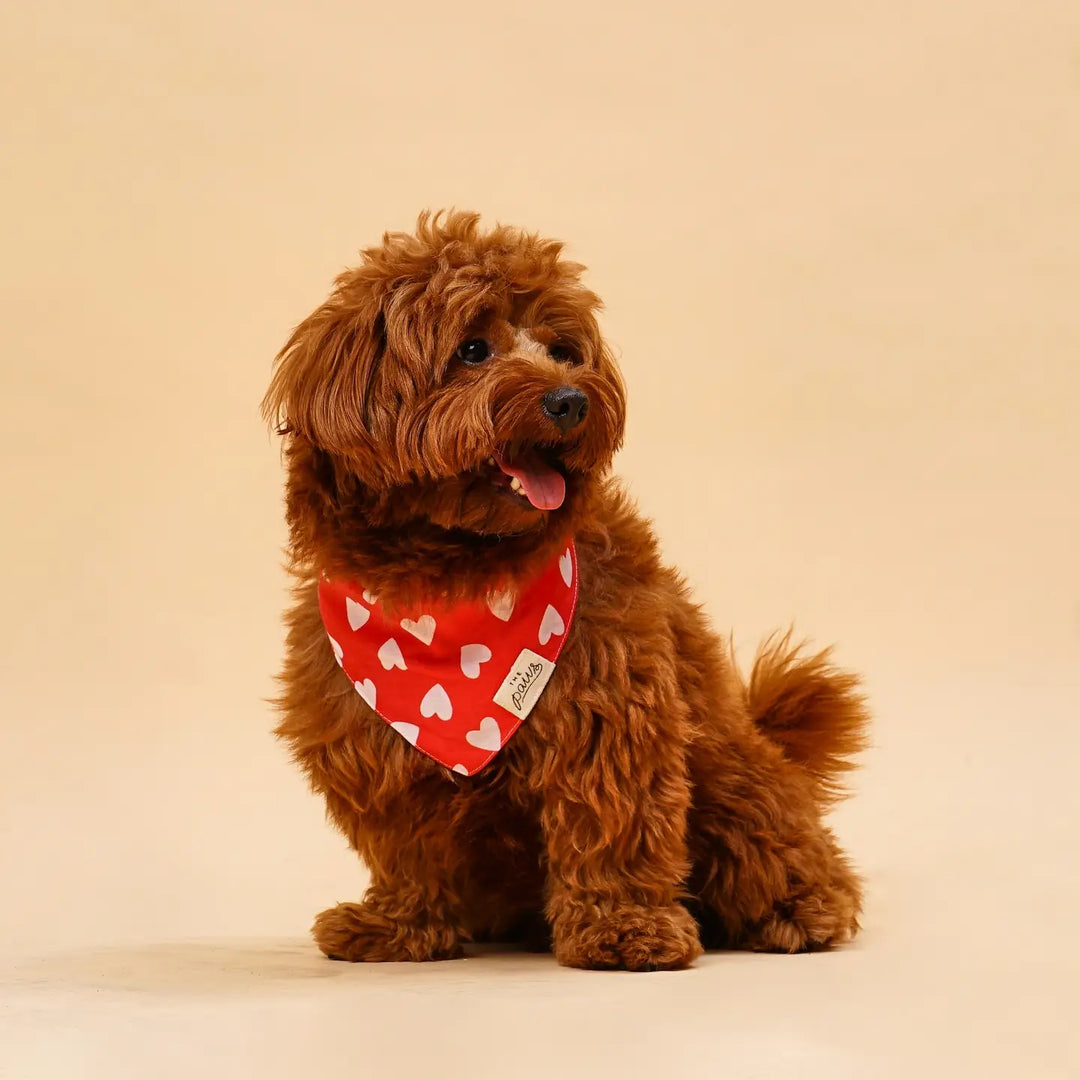 The Paws Nana Heart Valentine's Bandana for Dogs and Cats