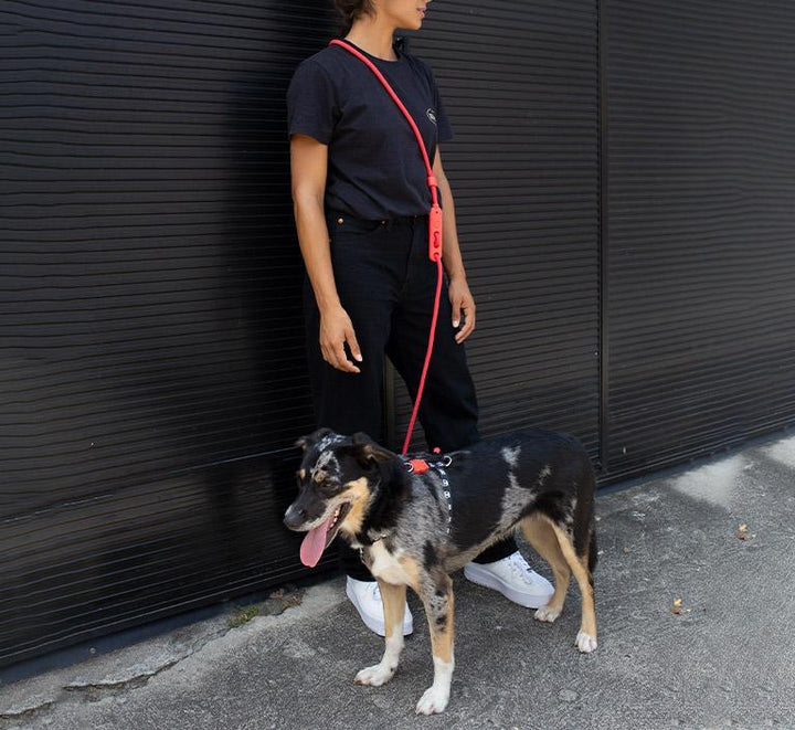 Neon Coral Hands-Free Leash