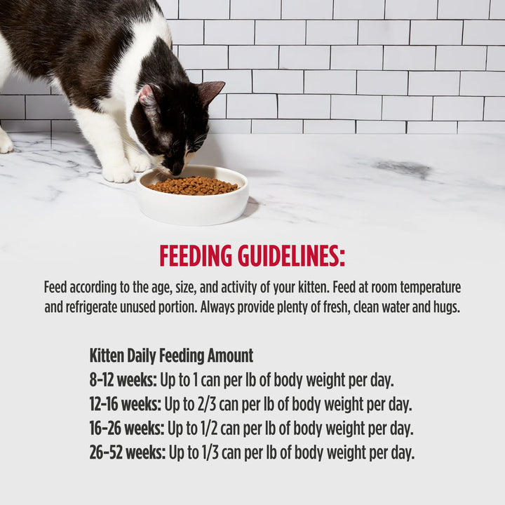 Nulo Kitten Beef, Chicken, & Salmon Recipe in Broth Paté With Shreds Canned Wet Cat Food 2.8oz - Single Can