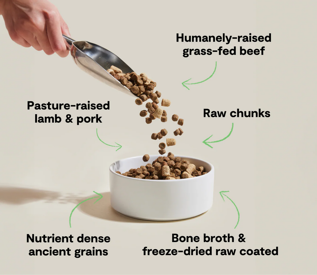 Open Farm Dog RawMix Front Range Recipe with Ancient Grains Dry Dog Food 20lb