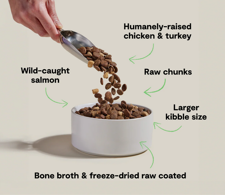 Open Farm Dog RawMix Large Breed Recipe with Ancient Grains Dry Dog Food 20lb