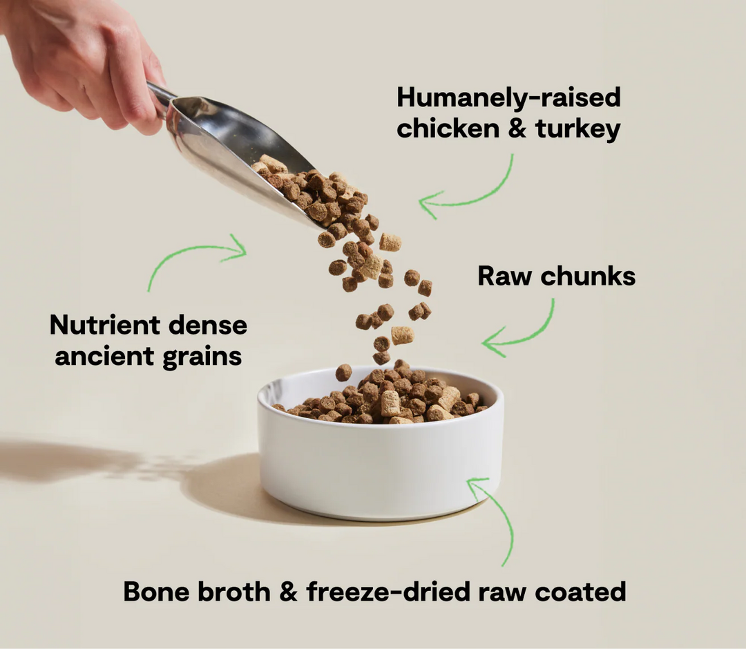 Open Farm Dog RawMix Open Prairie Recipe with Ancient Grains Dry Dog Food 20lb
