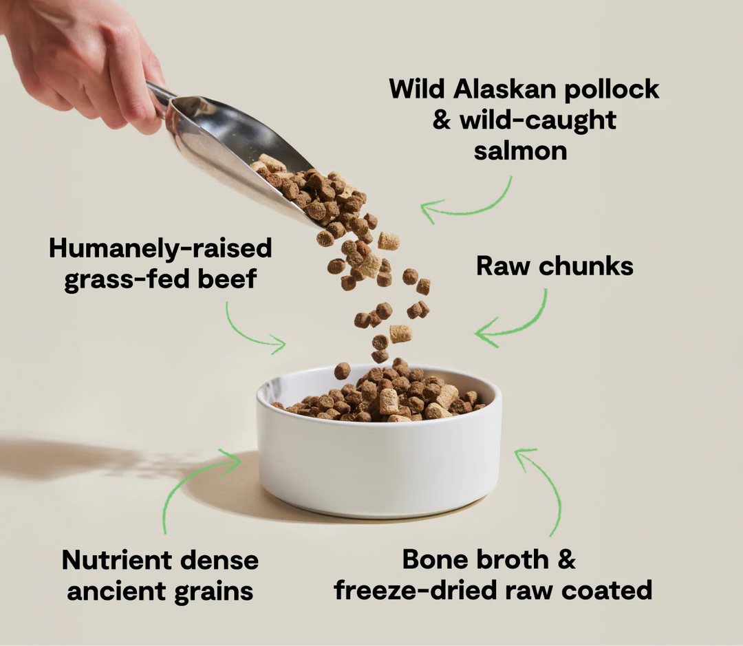 Open Farm Dog RawMix Tide and Terrain Recipe with Ancient Grains Dry Dog Food 20lb