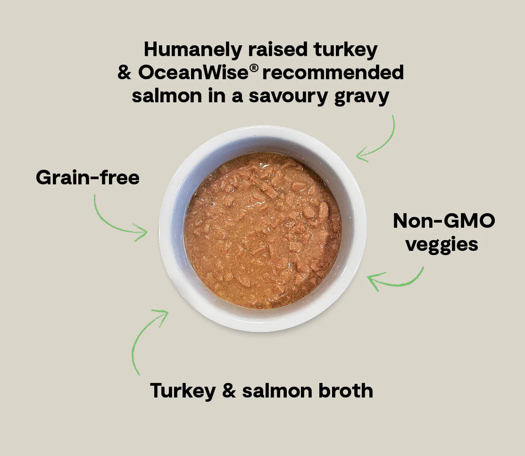 Open Farm Cat Grain Free Turkey & Salmon Morsels In Gravy 5.3oz