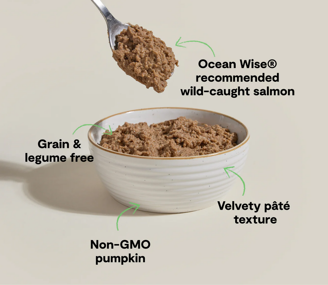 Open Farm Cat Grain Free Wild Caught Salmon Paté Wet Cat Food 5.3oz