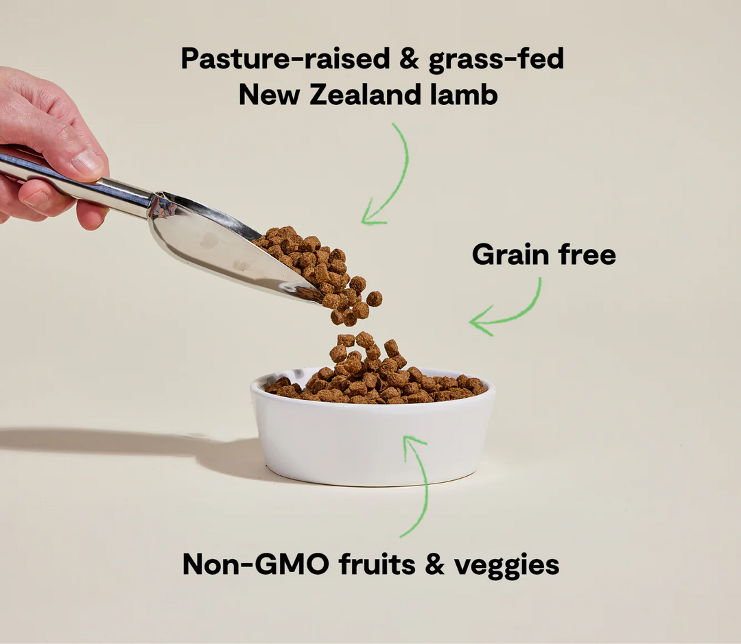 Open Farm Dog Grain Free Pasture Raised Lamb Dry Dog Food 22lb