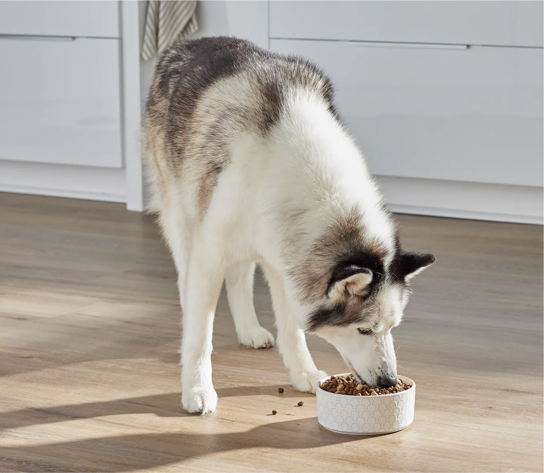 Open Farm Dog RawMix Open Prairie Recipe with Ancient Grains Dry Dog Food 20lb