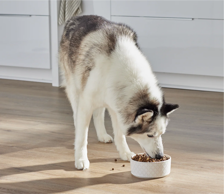 Open Farm Dog RawMix Large Breed Recipe with Ancient Grains Dry Dog Food 20lb