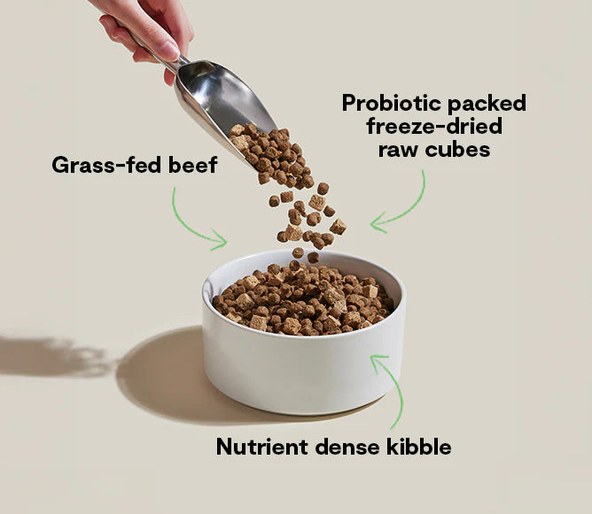 Open Farm Good Gut Grass-Fed Beef Kibble for Dogs 3.5lb
