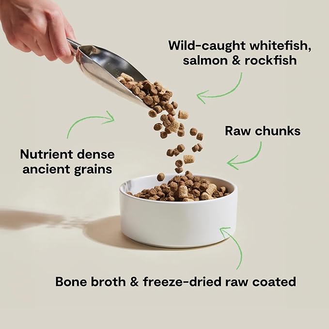 Open Farm Dog RawMix Wild Ocean Recipe with Ancient Grains Dry Dog Food 20lb