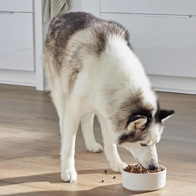 Open Farm Dog RawMix Wild Ocean Recipe with Ancient Grains Dry Dog Food 20lb