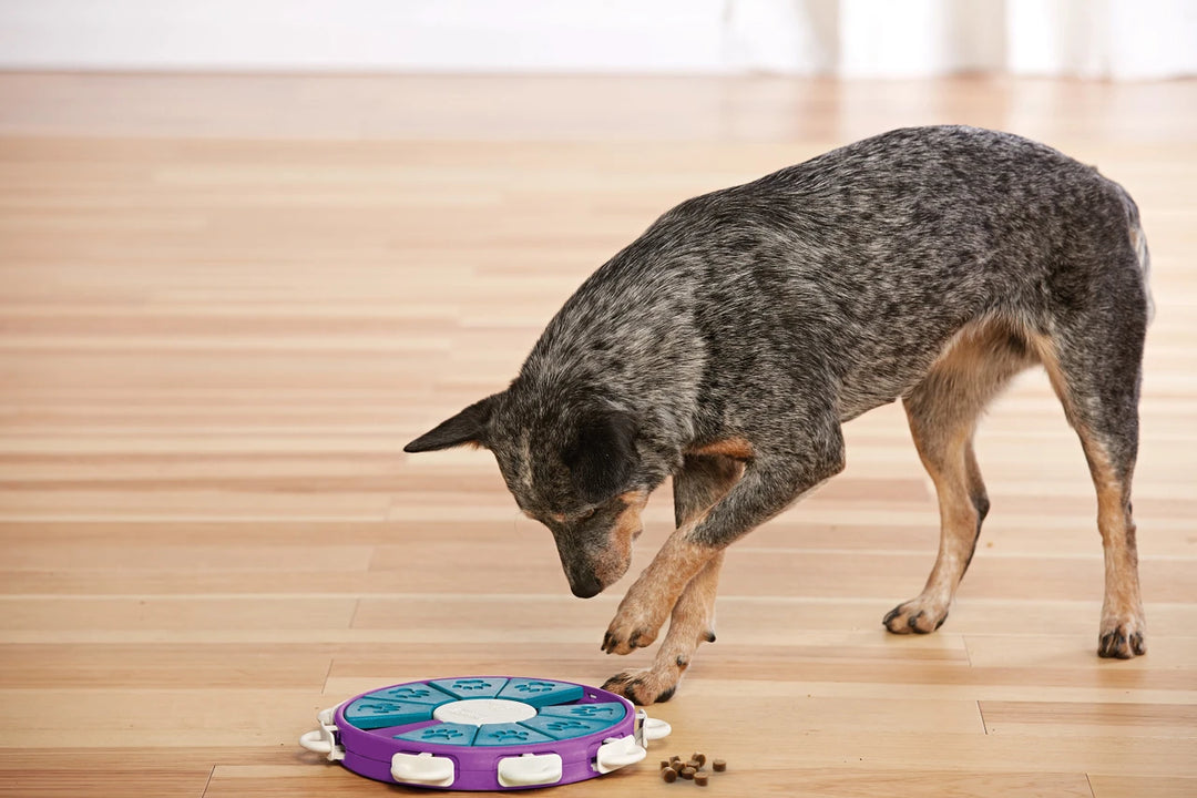 Outward Hound Dog Twister Advanced Treat Puzzle