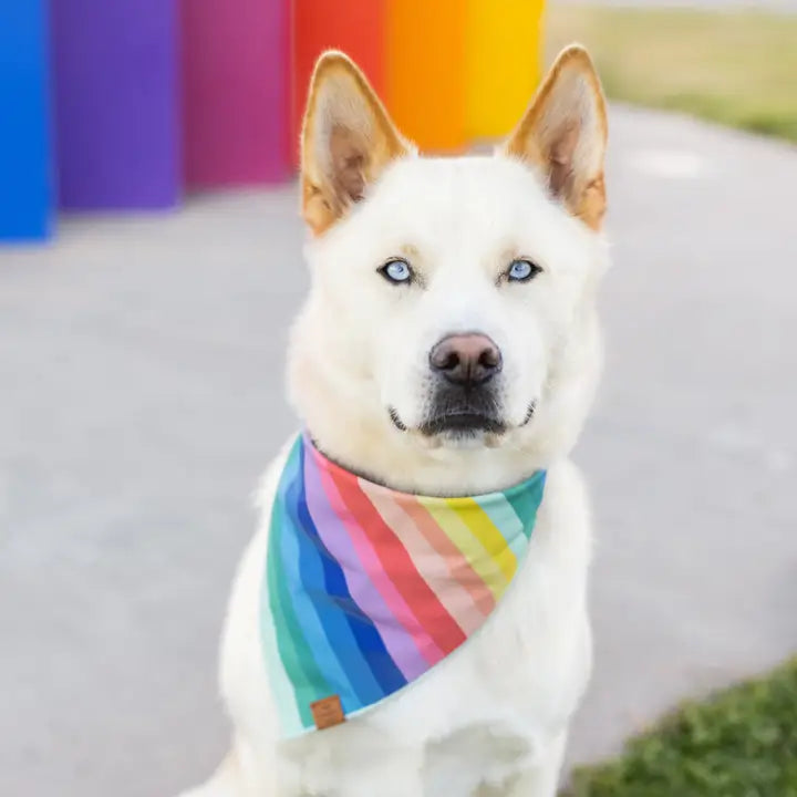 Over The Rainbow Bandana for Dogs and Cats