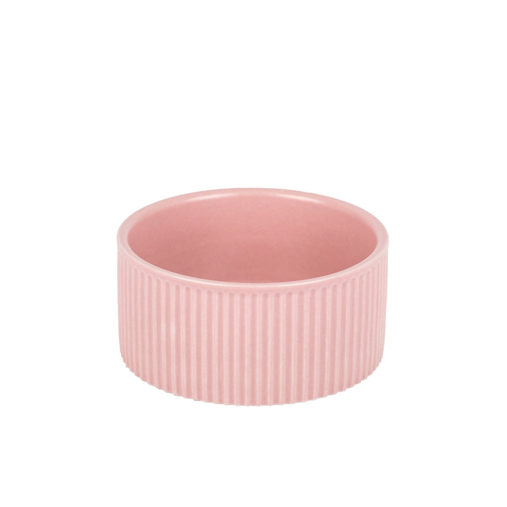 Park Life Designs Pink Jardin Ribbed Pet Bowl with Matte Exterior - Small
