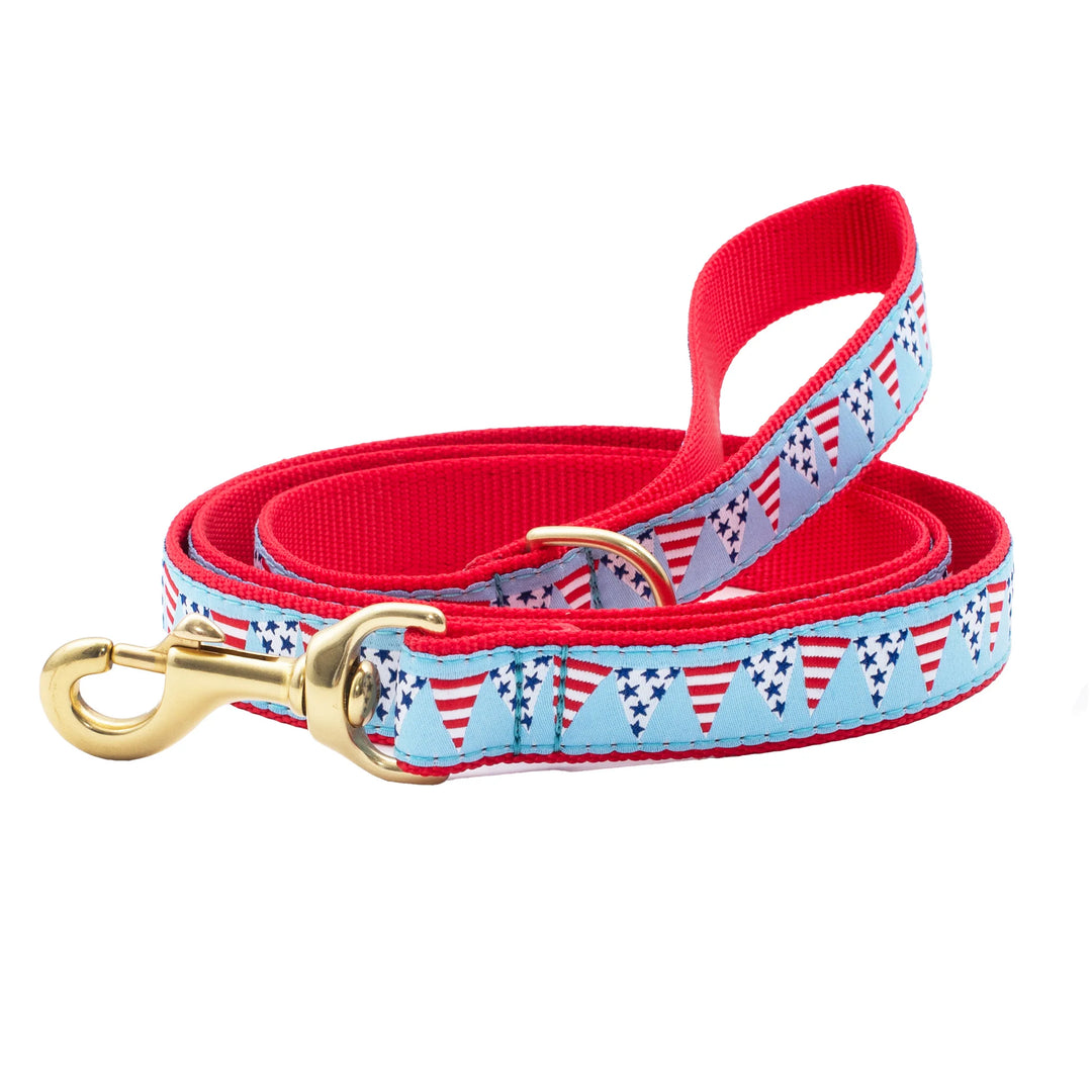 Up Country Party in the USA Dog Leash