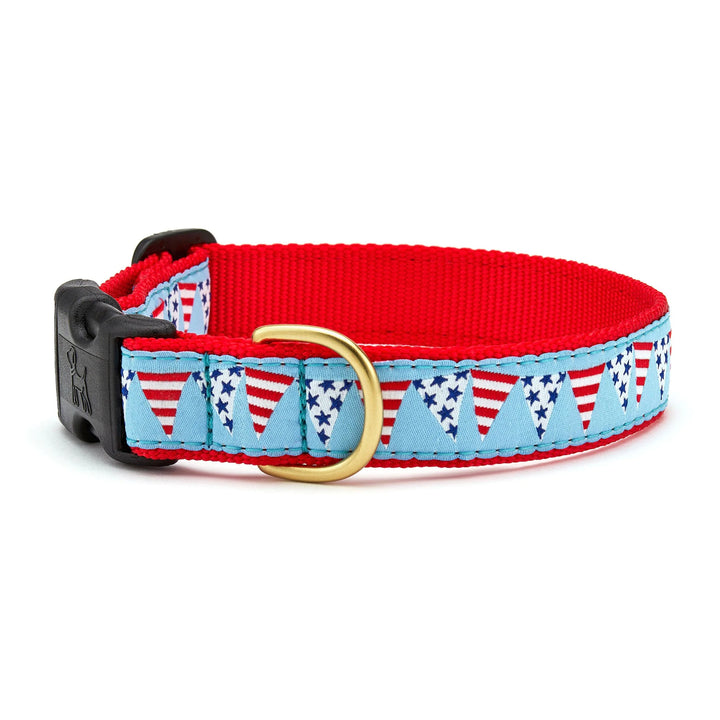 Up Country Party in the USA Dog Collar