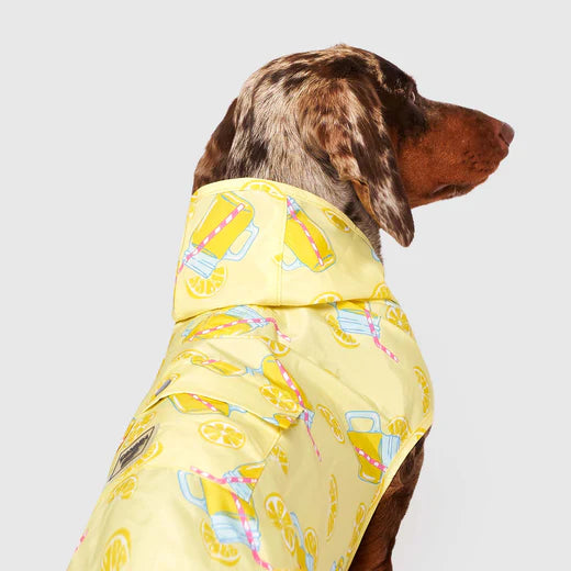 Canada Pooch Poncho Dog Waterproof Raincoat Lemonade Print