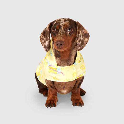 Canada Pooch Poncho Dog Waterproof Raincoat Lemonade Print