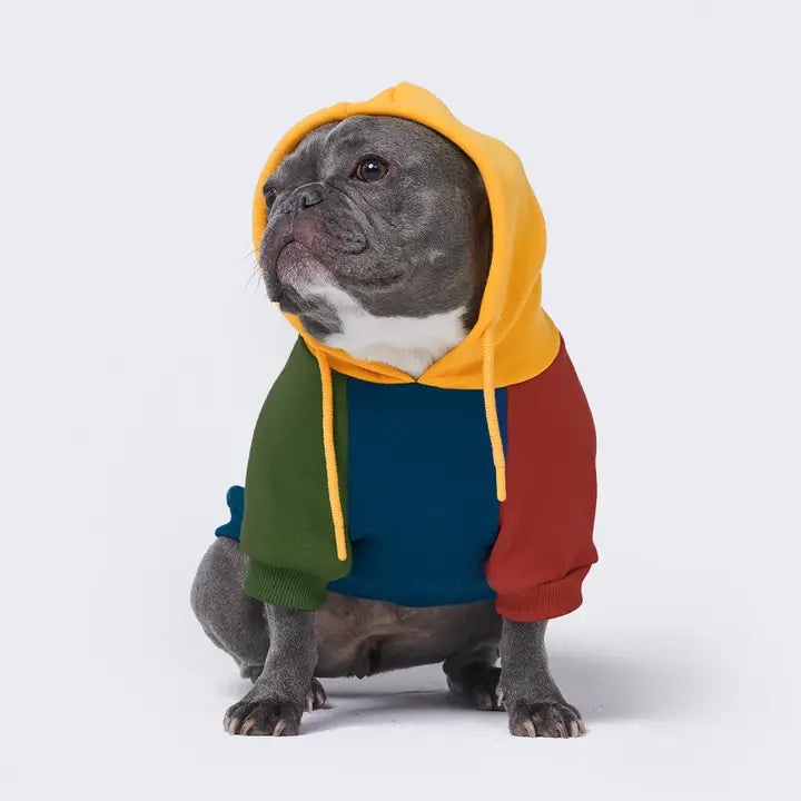 Spark Paws Primary Color Block Dog Hoodie