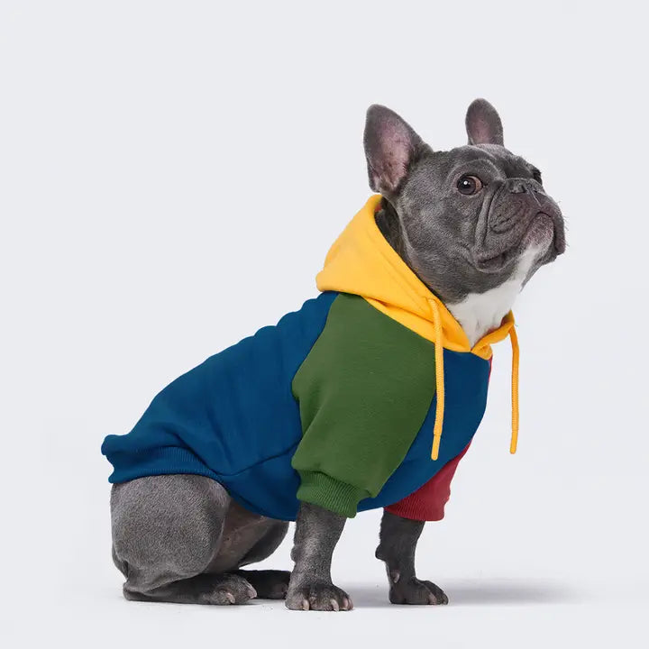 Spark Paws Primary Color Block Dog Hoodie