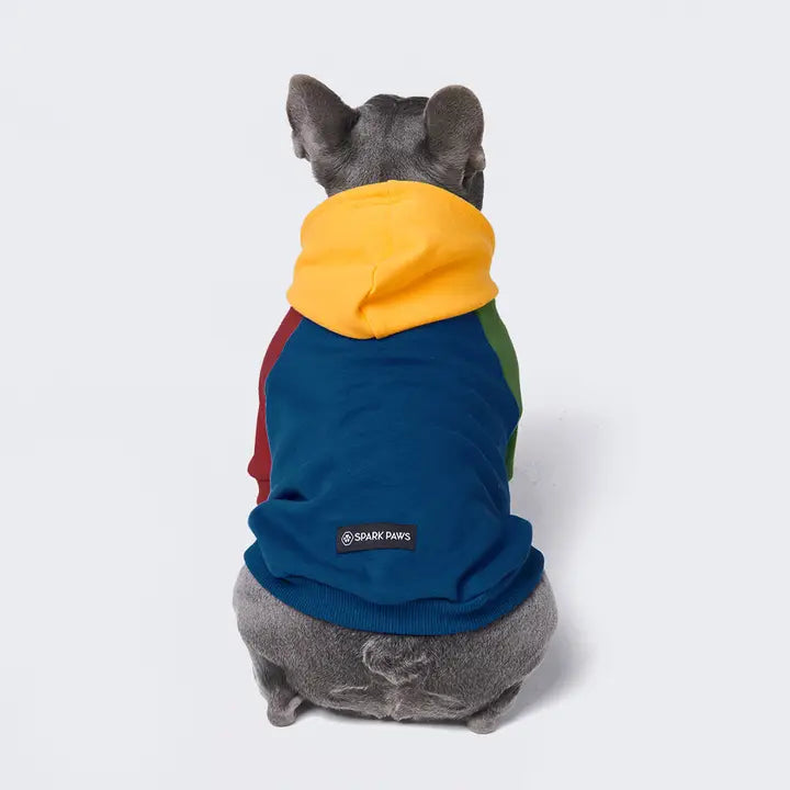 Spark Paws Primary Color Block Dog Hoodie