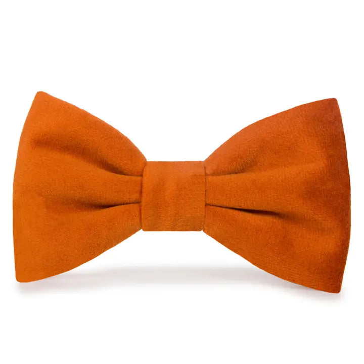 Pumpkin Orange Velvet Holiday Bow Tie Attachment for Collar