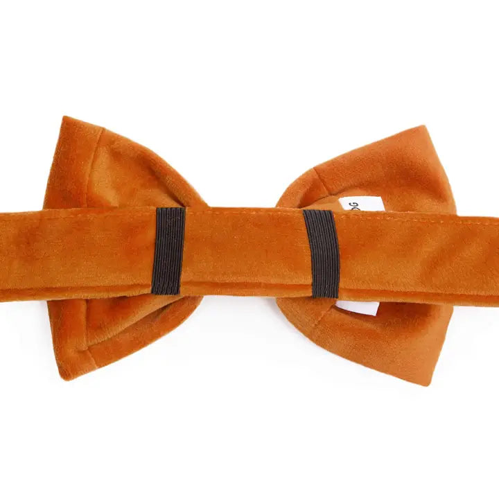 Pumpkin Orange Velvet Holiday Bow Tie Attachment for Collar
