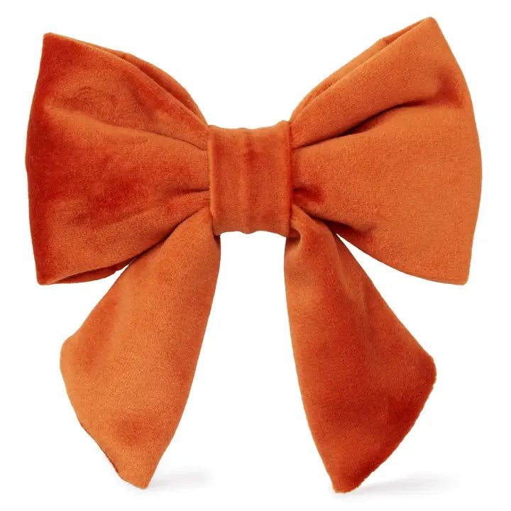 Pumpkin Orange Velvet Lady Bow Attachment for Collar