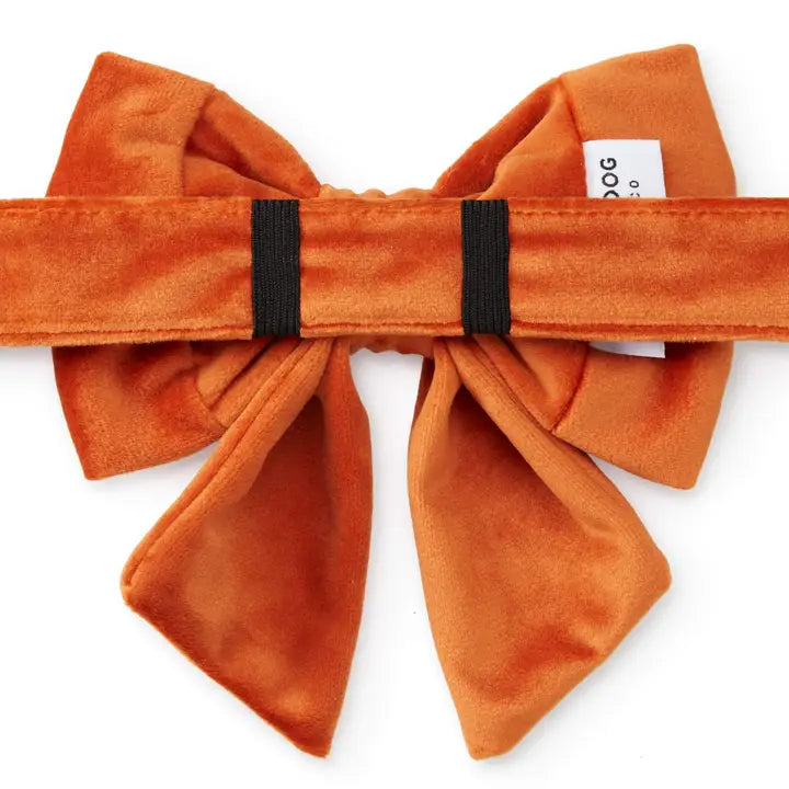 Pumpkin Orange Velvet Lady Bow Attachment for Collar