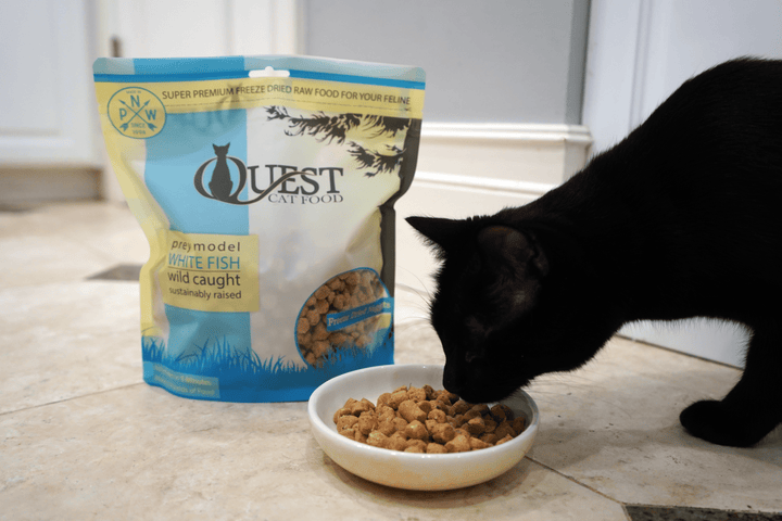 Steve’s Real Food Quest Cat Freeze-Dried Whitefish