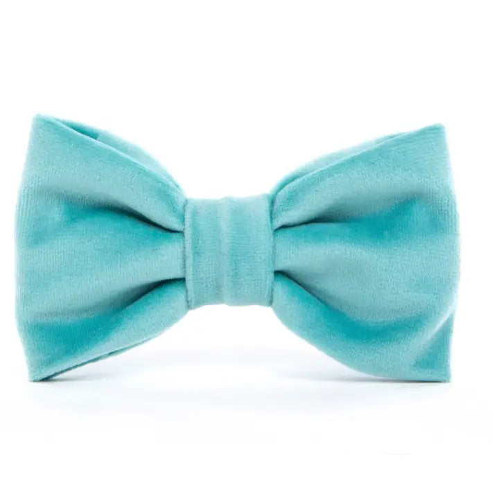 Robin's Egg Blue Velvet Dog Bow Tie