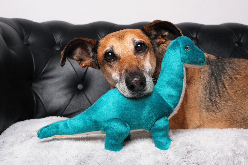 Ross Brachiosaurus Dog Toy