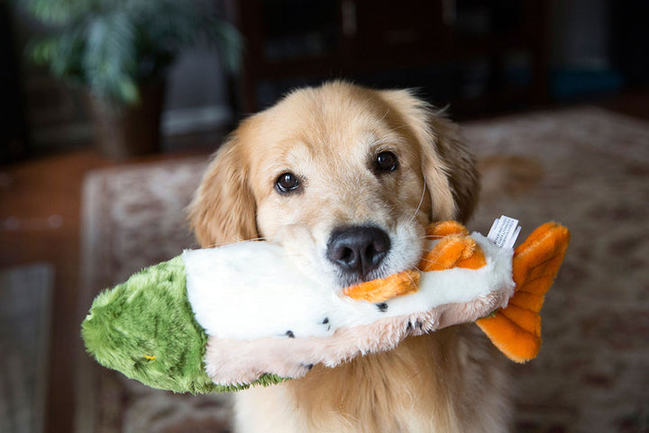 Ruby The Rainbow Trout Dog Toy